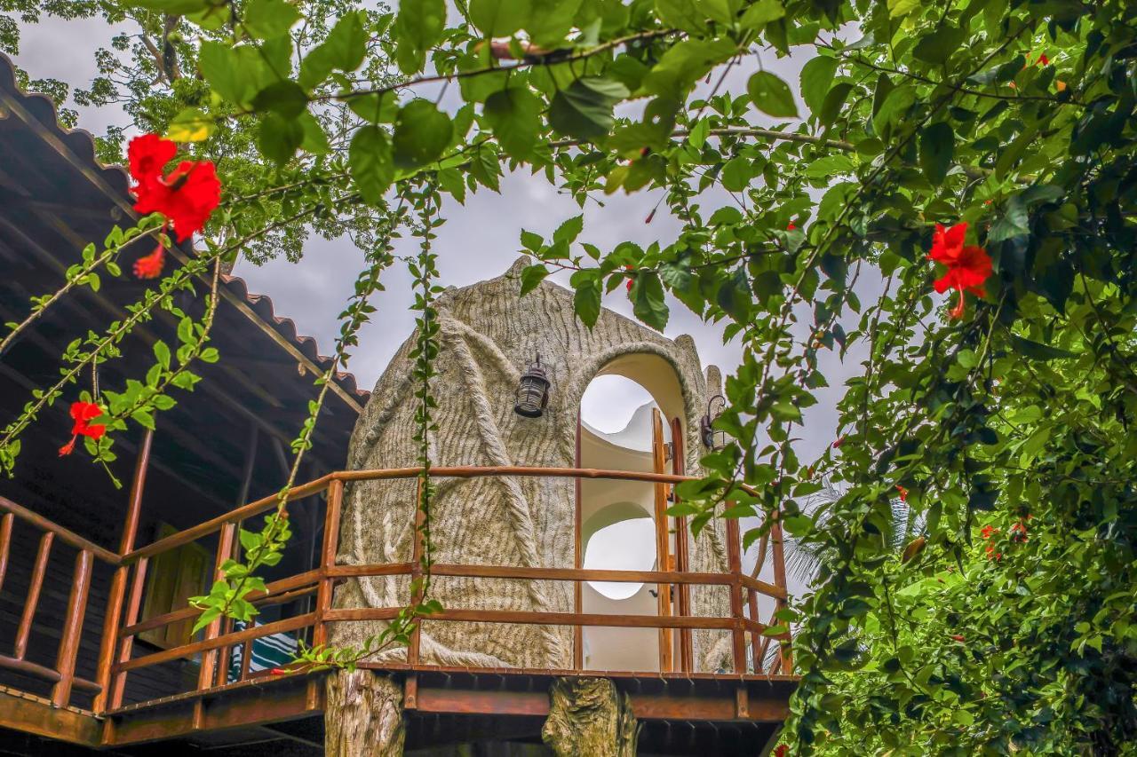 Willa Casa Contiki Cabo Matapalo Zewnętrze zdjęcie